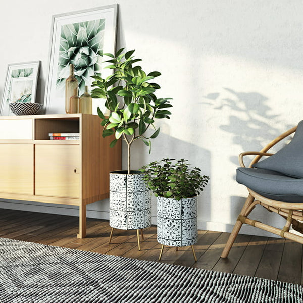 Bantu Modern Planters