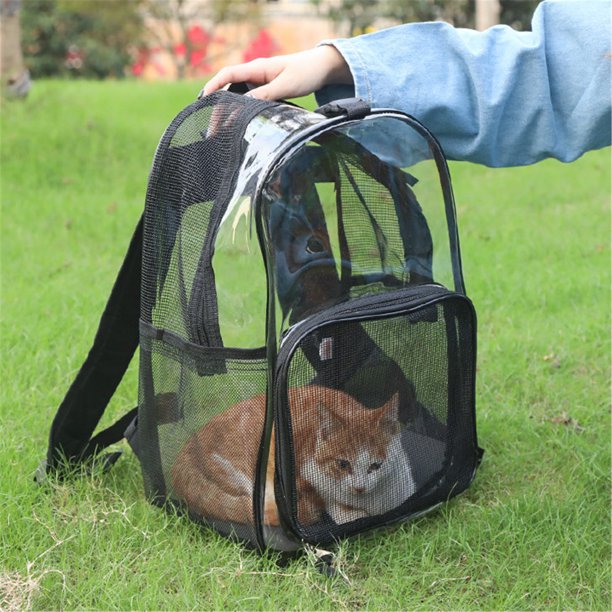 Transparent cat outlet backpack